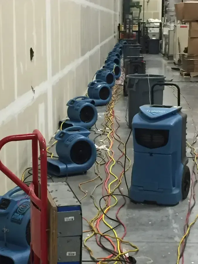A long row of air movers and dehumidifiers beside walls cut for drying