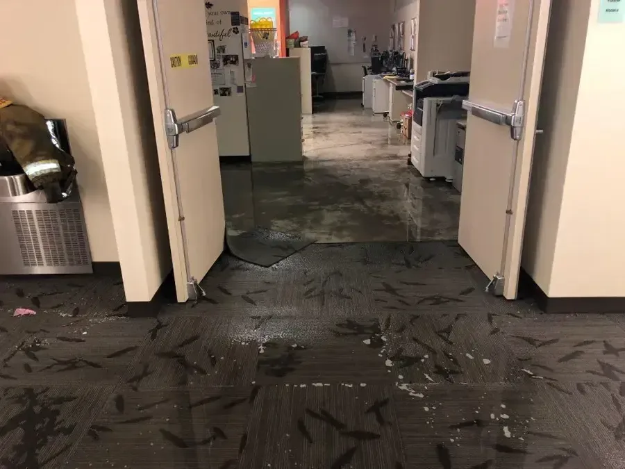 Standing water over carpet tiles in an office corridor