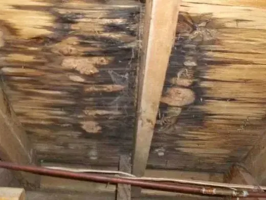 An attic with water damage from a leaking roof