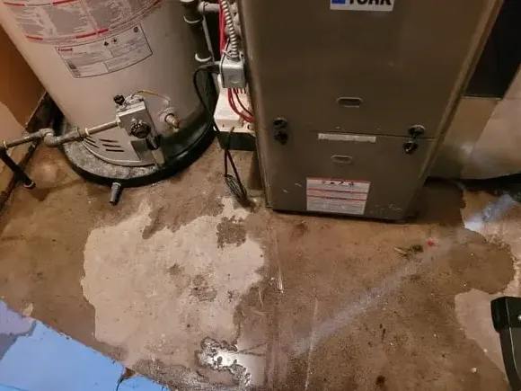 A water heater next to a furnace with water spread across the concrete floor